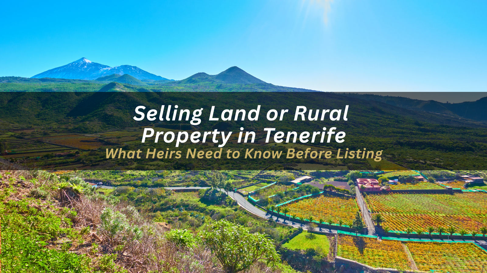 Selling Land or Rural Property Inherited in Tenerife